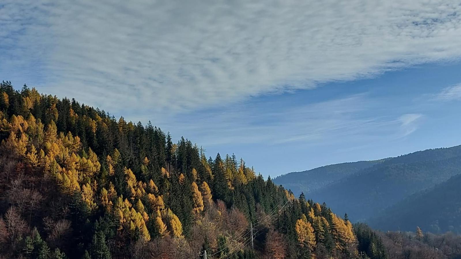 Rai Apartament Sinaia Luaran gambar